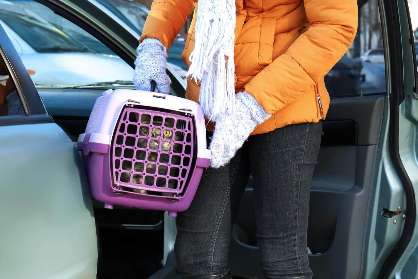 Woman in orange winter coat and mittens holds a purple cat carrier with a cat inside.
