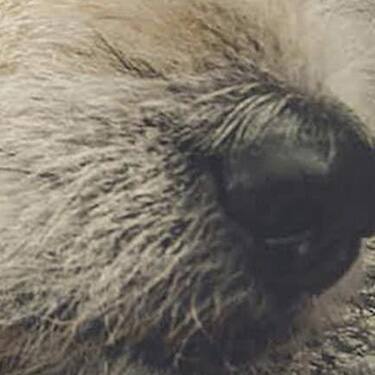initial thumbnail