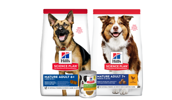 Hill's Science Plan Food Range for different size breeds