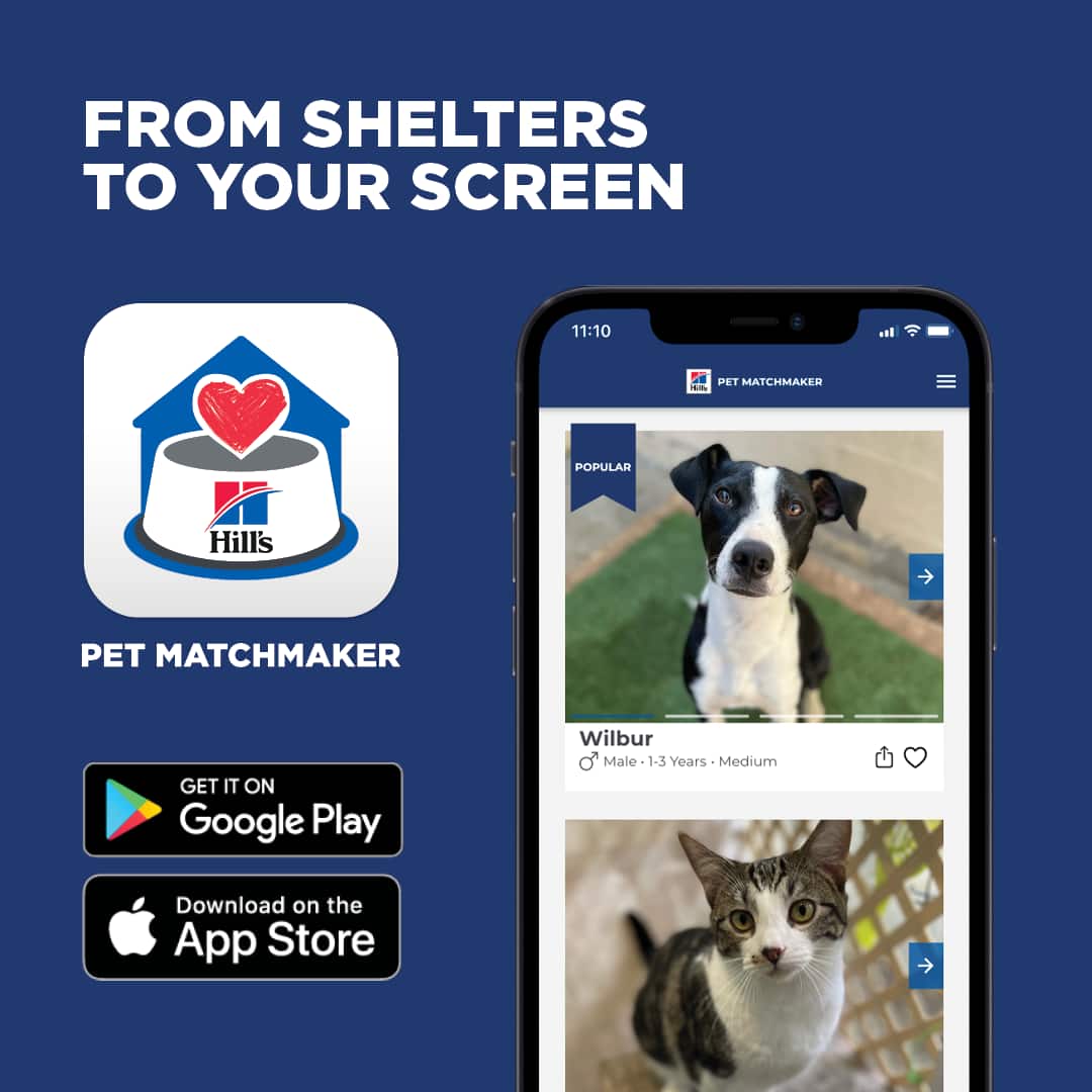 Shelter Program